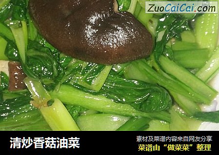 清炒香菇油菜封面圖
