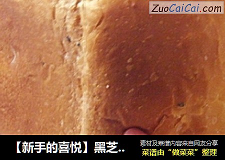【新手的喜悅】黑芝麻土司面包封面圖