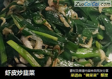 蝦皮炒韭菜封面圖
