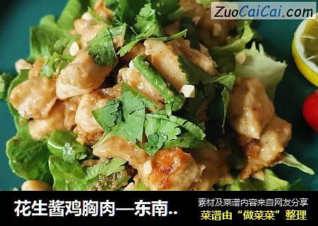 花生醬雞胸肉—東南亞風味封面圖