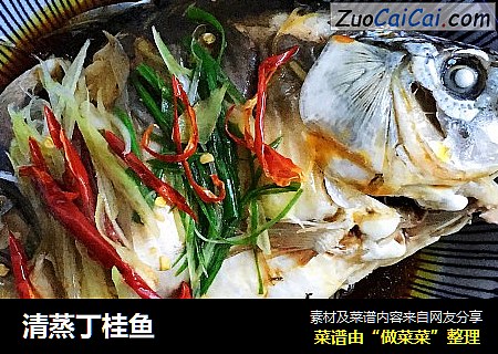 清蒸丁桂魚封面圖