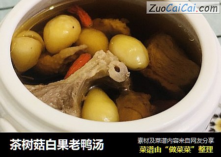 茶树菇白果老鸭汤