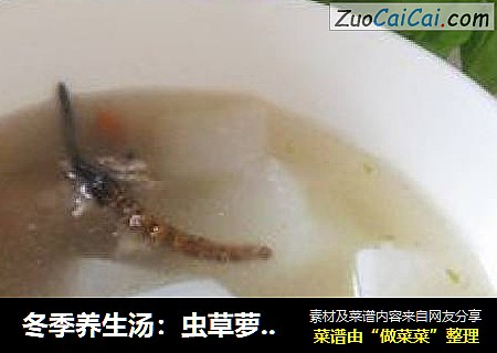 冬季養生湯：蟲草蘿蔔排骨湯封面圖