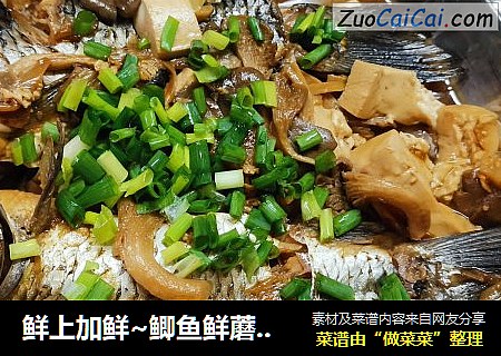 鮮上加鮮~鲫魚鮮蘑炖豆腐封面圖