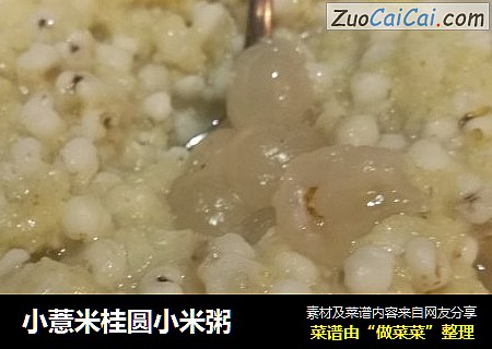 小薏米桂圆小米粥