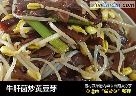 牛肝菌炒黃豆芽封面圖