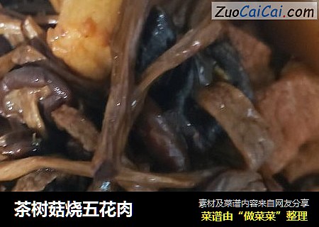 茶树菇烧五花肉