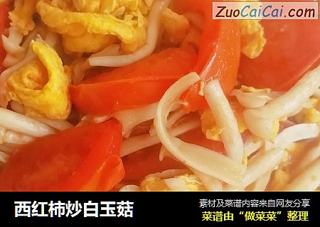 西紅柿炒白玉菇封面圖