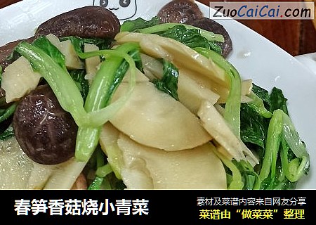 春筍香菇燒小青菜封面圖