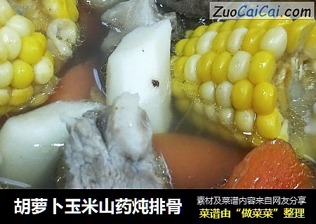 胡蘿蔔玉米山藥炖排骨封面圖