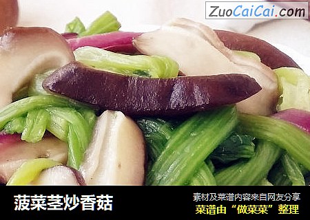 菠菜茎炒香菇