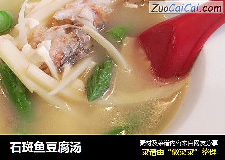 石斑魚豆腐湯封面圖
