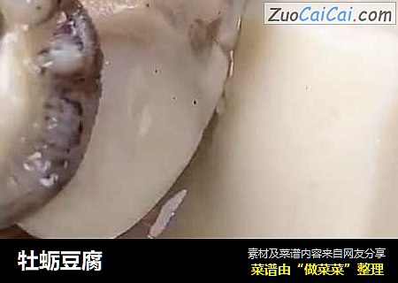 牡蛎豆腐封面圖