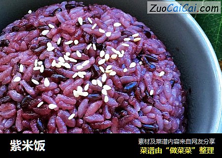 紫米飯封面圖