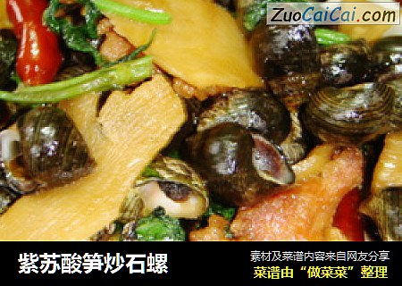 紫蘇酸筍炒石螺封面圖