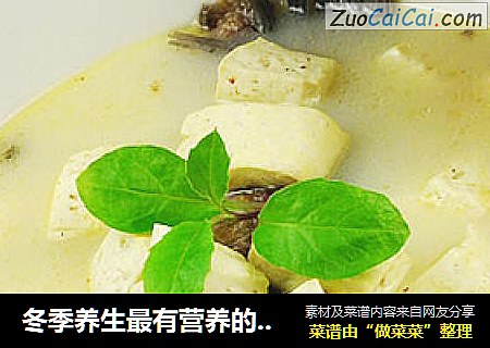 冬季养生最有营养的----鲫鱼豆腐汤