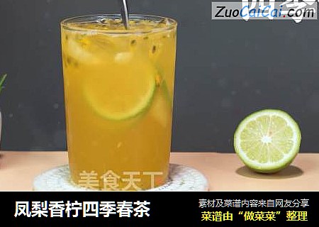 凤梨香柠四季春茶