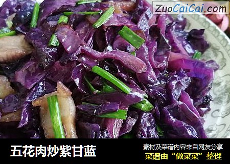 五花肉炒紫甘藍封面圖