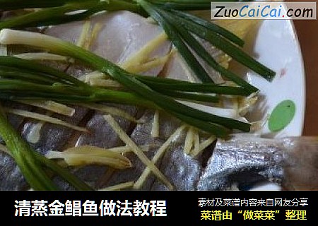 清蒸金鲳魚做法教程封面圖