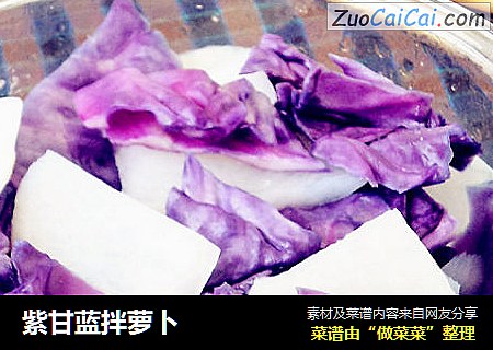紫甘藍拌蘿蔔封面圖