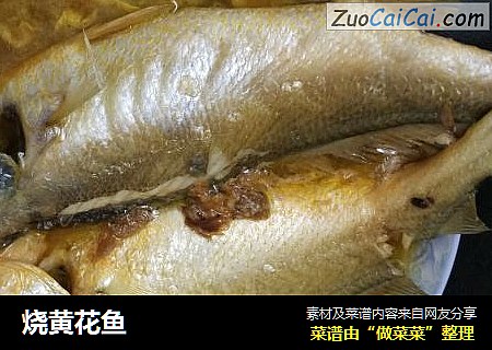 燒黃花魚封面圖