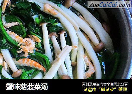 蟹味菇菠菜湯封面圖