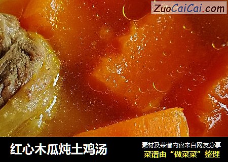 紅心木瓜炖土雞湯封面圖