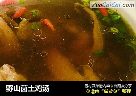 野山菌土鸡汤