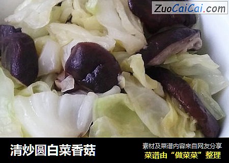 清炒圓白菜香菇封面圖