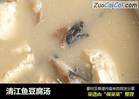 清江魚豆腐湯封面圖