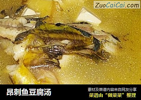 昂刺魚豆腐湯封面圖