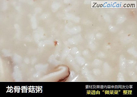 龍骨香菇粥封面圖