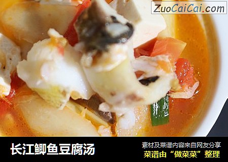 长江鲫鱼豆腐汤