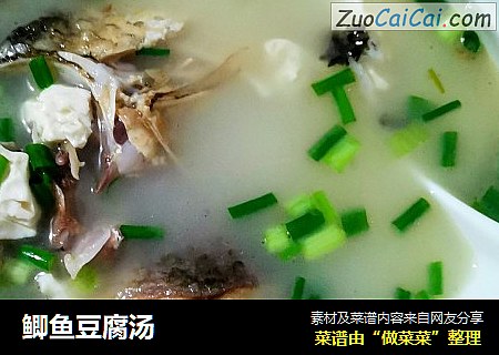 鲫魚豆腐湯封面圖