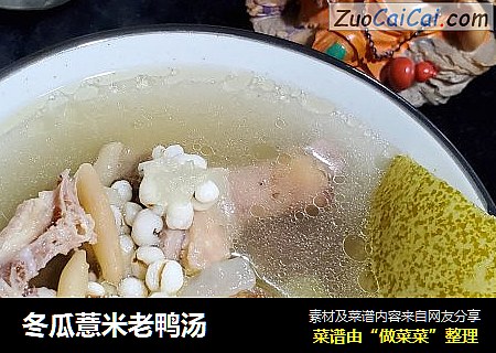 冬瓜薏米老鴨湯封面圖