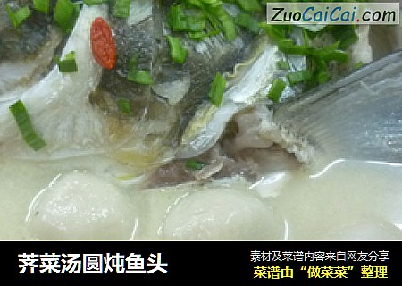 荠菜湯圓炖魚頭封面圖