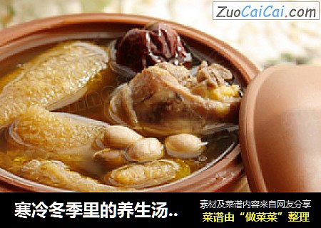 寒冷冬季裏的養生湯--------當歸竹荪土雞湯封面圖