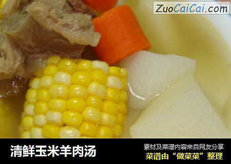 清鮮玉米羊肉湯封面圖