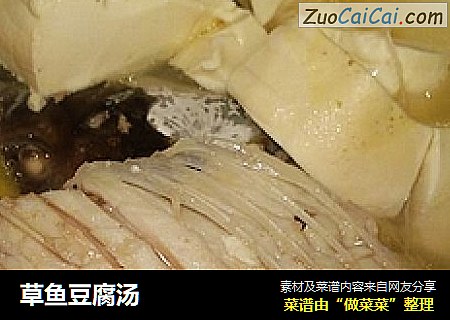 草魚豆腐湯封面圖