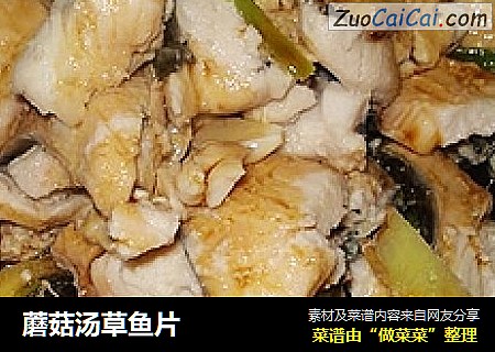 蘑菇汤草鱼片