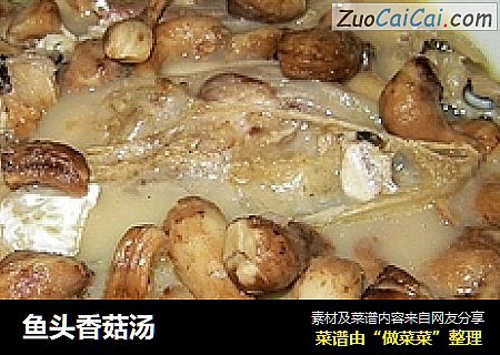 魚頭香菇湯封面圖