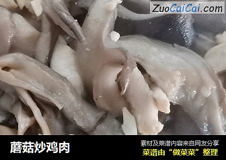 蘑菇炒雞肉封面圖