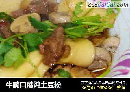 牛腩口蘑炖土豆粉封面圖