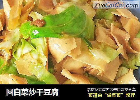 圆白菜炒干豆腐