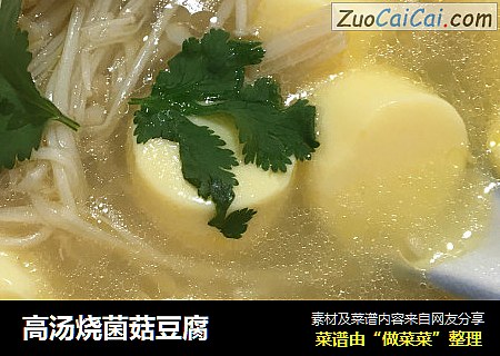 高汤烧菌菇豆腐