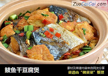 鲅魚幹豆腐煲封面圖