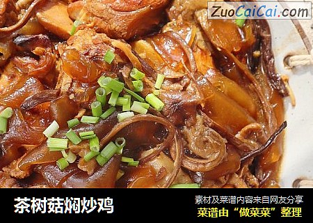 茶树菇焖炒鸡