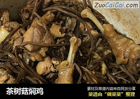 茶樹菇焖雞封面圖