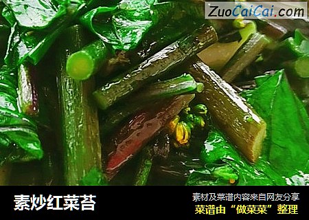 素炒紅菜苔封面圖