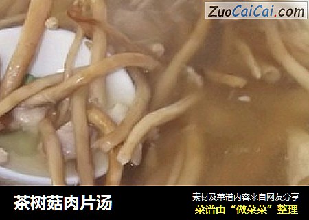 茶樹菇肉片湯封面圖